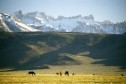 Latest Photo by American Land Conservancy