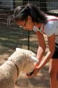 Latest Photo by SHILOH SUMMER CAMP INC