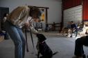 Latest Photo by Canines With a Cause