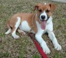 Latest Photo by The Humane Society of McCormick County