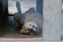 Latest Photo by Conservators' Center