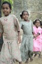Latest Photo by VIBHA