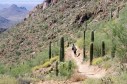 Latest Photo by McDowell Sonoran Land Conservancy