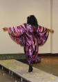 Latest Photo by A Schmahl Science Workshop