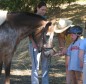 Latest Photo by Equi-Ed, Inc.
