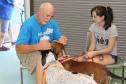 Latest Photo by HALIFAX HUMANE SOCIETY INC