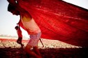 Latest Photo by Foundation for Sustainable Development