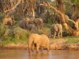 Latest Photo by Wildlife Conservation Network, Inc.