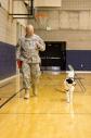 Latest Photo by Canines With a Cause