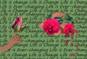 Latest Photo by Seedlings of Change