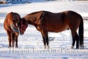 Latest Photo by Lost Creek Ranch Camp Confidence