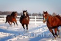 Latest Photo by Lost Creek Ranch Camp Confidence