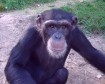 Latest Photo by Primate Rescue Center