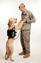 Latest Photo by K9s For Warriors
