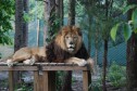 Latest Photo by Conservators' Center