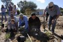 Latest Photo by POLLINATOR PARTNERSHIP                                                