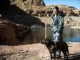 Latest Photo by Seeing Eye, Inc.