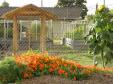 Latest Photo by SELF SUSTAINING COMMUNITIES