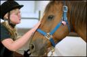 Latest Photo by HEARTS & HORSES