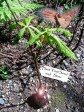 Latest Photo by Seedlings of Change