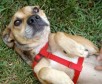 Latest Photo by Bayou Rescue, Inc.