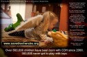 Latest Photo by Cherubs The Assoc of Congenital Diaphragmatic Hernia Research