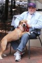 Latest Photo by LUCKY DOG ANIMAL RESCUE