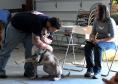 Latest Photo by Canines With a Cause