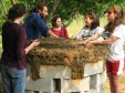 Latest Photo by Jewish Farm School