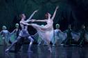 Latest Photo by The Portland Ballet