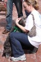 Latest Photo by LUCKY DOG ANIMAL RESCUE