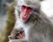 Latest Photo by ANIMAL LEGAL DEFENSE FUND