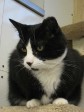 Latest Photo by Animal Rescue and Adoption Society