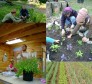 Latest Photo by Jewish Farm School