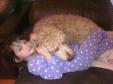 Latest Photo by Canine Angels Service Teams