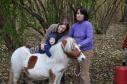 Latest Photo by RATTLEBOX NATURE CENTER LTD
