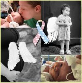 Cherubs The Assoc of Congenital Diaphragmatic Hernia Research - charity reviews, charity ratings, best charities, best nonprofits, search nonprofits