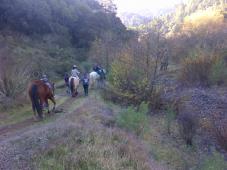 Latest Photo by Halleck Creek Ranch Therapeutic Riding  4-H Club