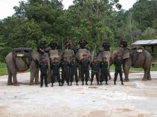 Latest Photo by International Elephant Foundation