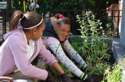 Latest Photo by POLLINATOR PARTNERSHIP                                                