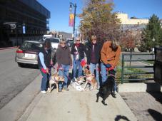 Latest Photo by Canines With a Cause
