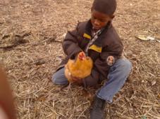 Latest Photo by SELF SUSTAINING COMMUNITIES