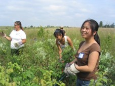 Latest Photo by GREAT RIVER GREENING