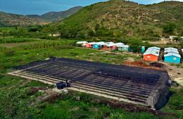Latest Photo by LA CRUZ HABITAT PROTECTION PROJECT, INC