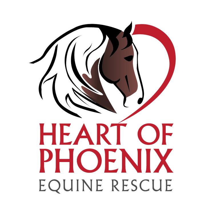Heart of Phoenix Equine Rescue Inc. nonprofit in Shoals, WV Volunteer, Read Reviews, Donate