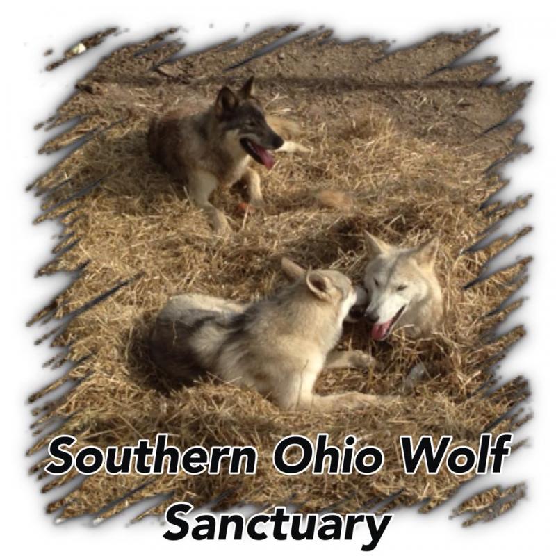 SOUTHERN OHIO WOLF SANCTUARY, Inc. nonprofit in Chesapeake, OH