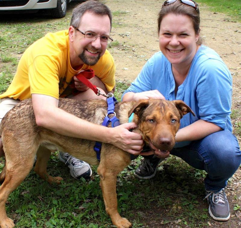 adopt me animal rescue nonprofit in madison wi adopt me animal rescue nonprofit in madison wi