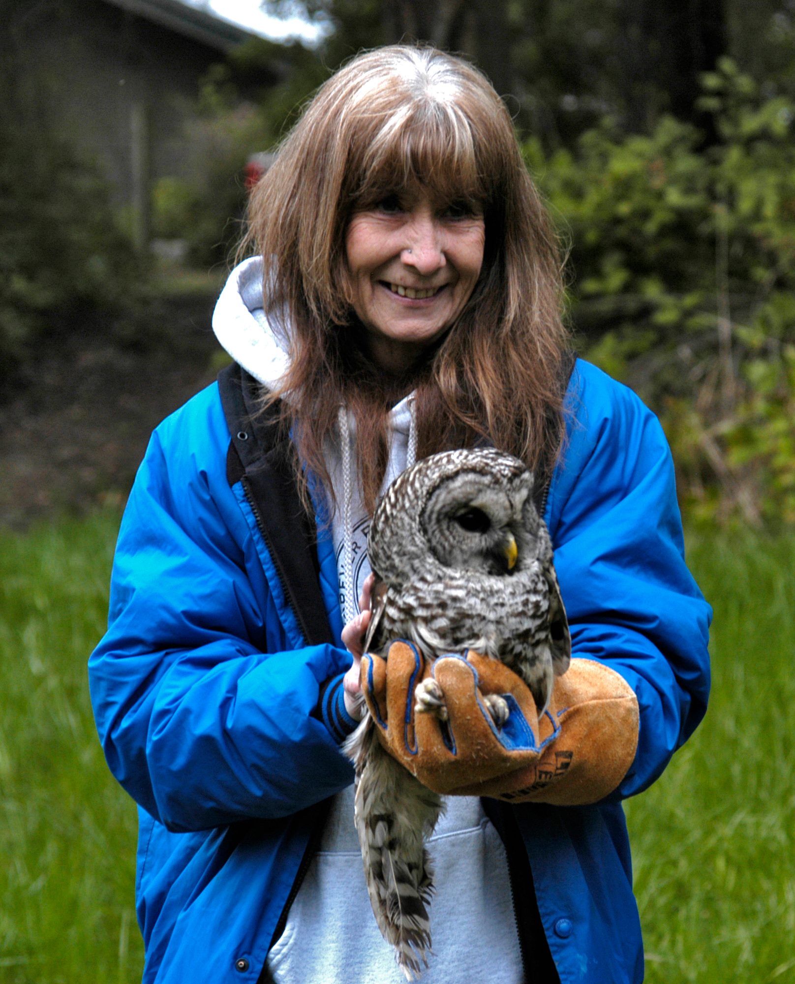 northwest raptor wildlife center nonprofit in sequim wa northwest raptor wildlife center nonprofit in sequim wa