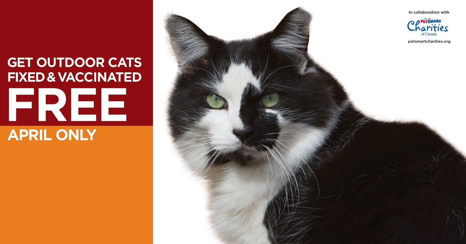 SpayNeuter Assistance Program, Inc. nonprofit in Houston, TX