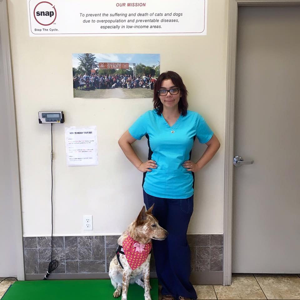 SpayNeuter Assistance Program, Inc. nonprofit in Houston, TX